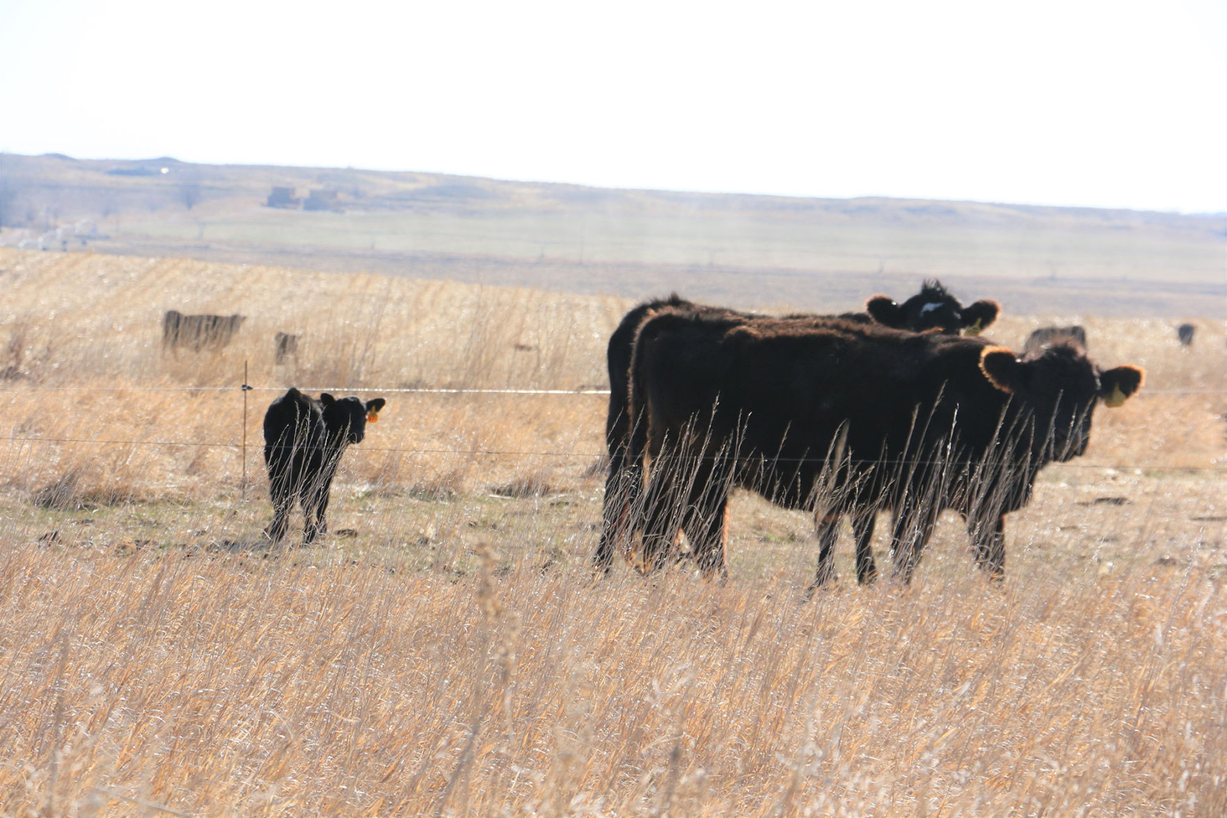PHOTOS: Backroads